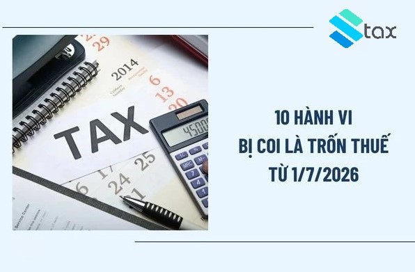 10 Hành Vi Bị Coi Là Trốn Thuế Từ 1/7/2026 Theo Luật Quản Lý Thuế 2025